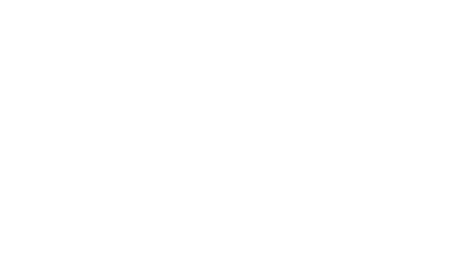 Prime 45